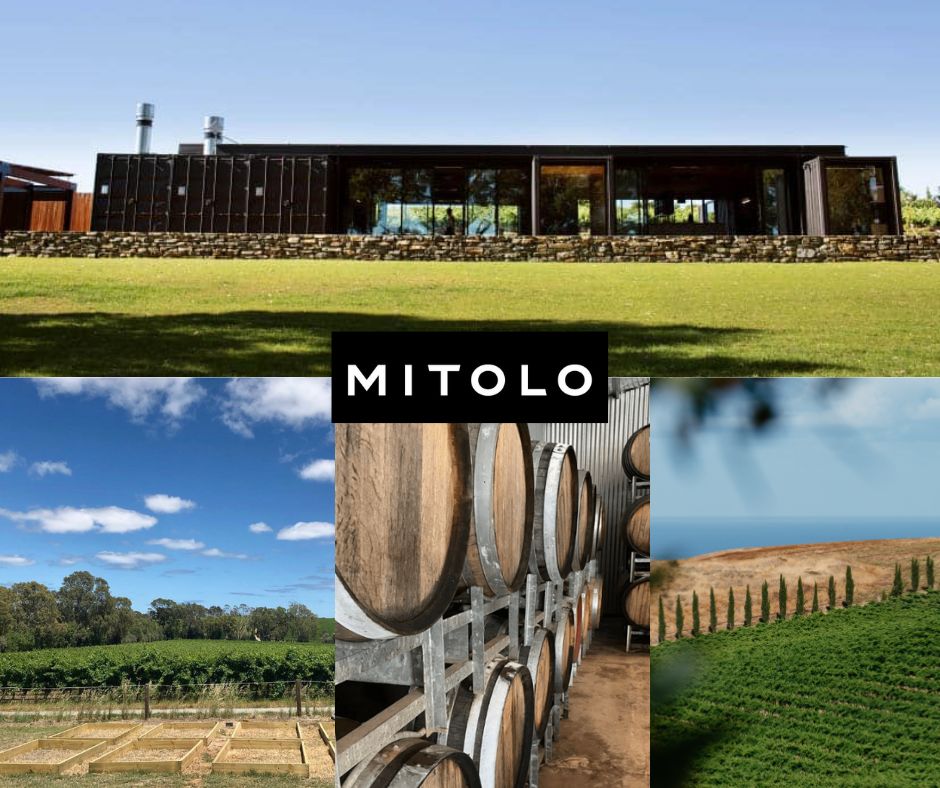 Mitolo Wines: chai et vignobles
