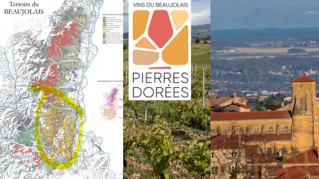 Carte viticole Beaujolais et Terres Dorées
