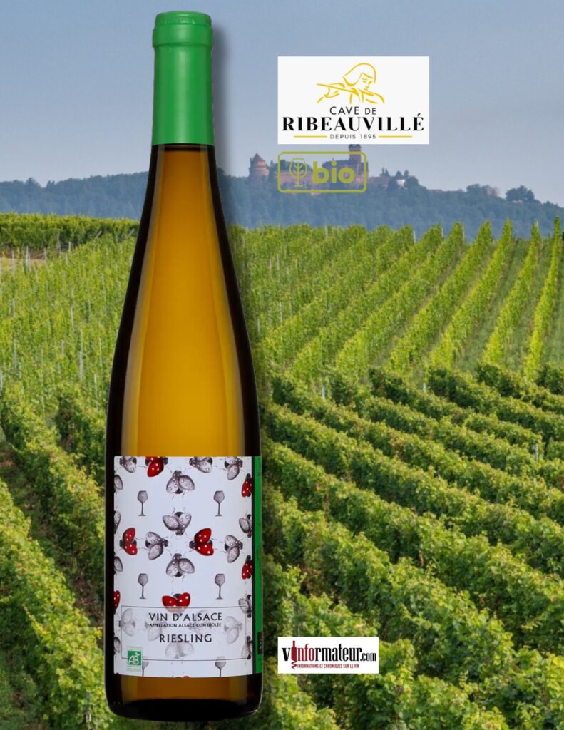 Riesling, Cave de Ribeauvillé, vin blanc bio, 2021 bouteille