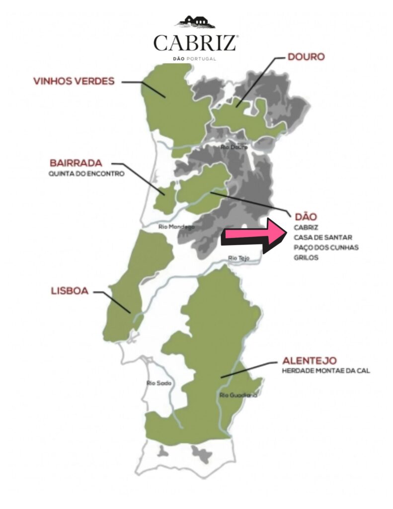 Carte viticole Portugal et Dao