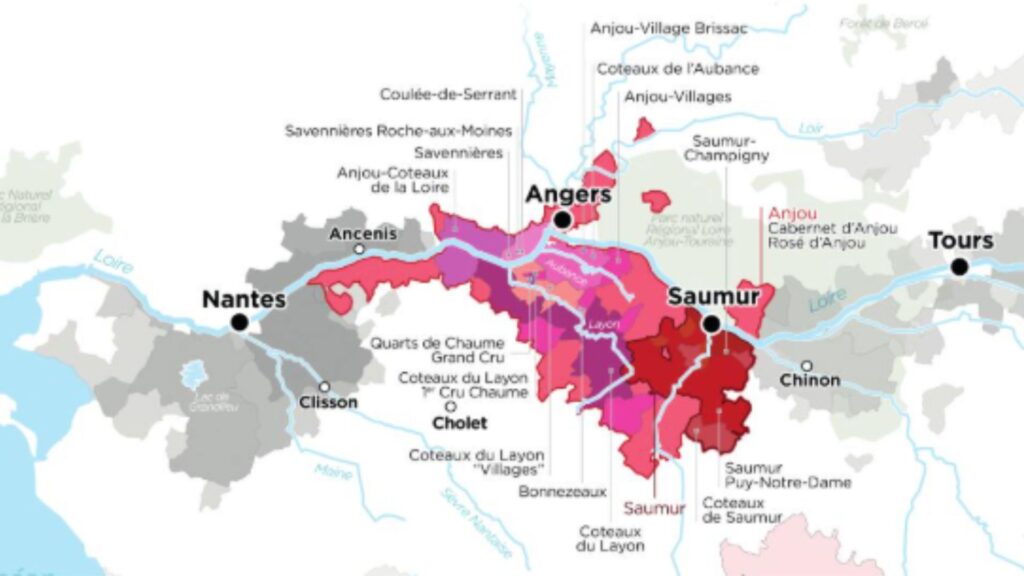Carte viticole Vallée de la Loire - Anjou Saumur