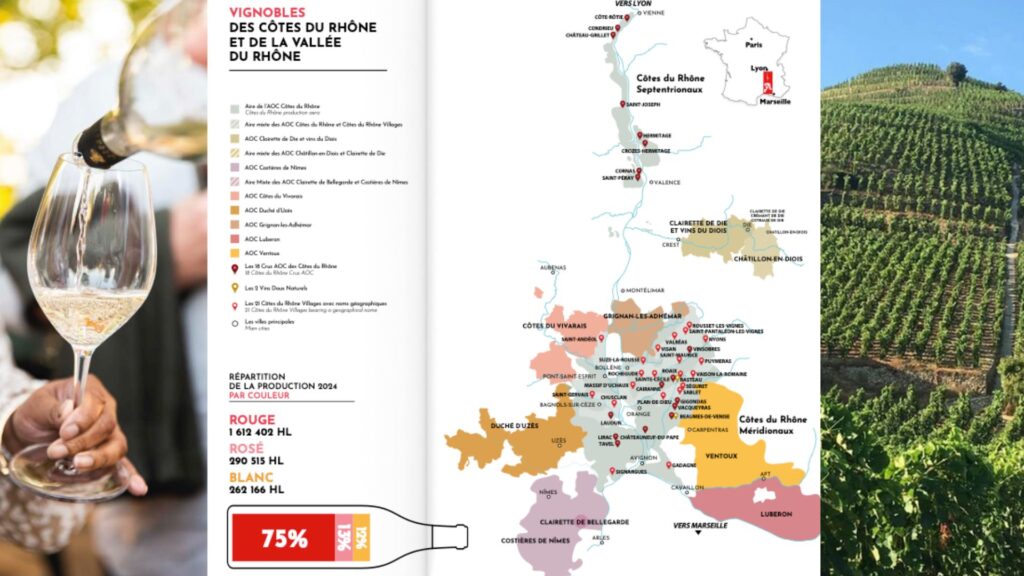 Vignobles de la Vallée du Rhône