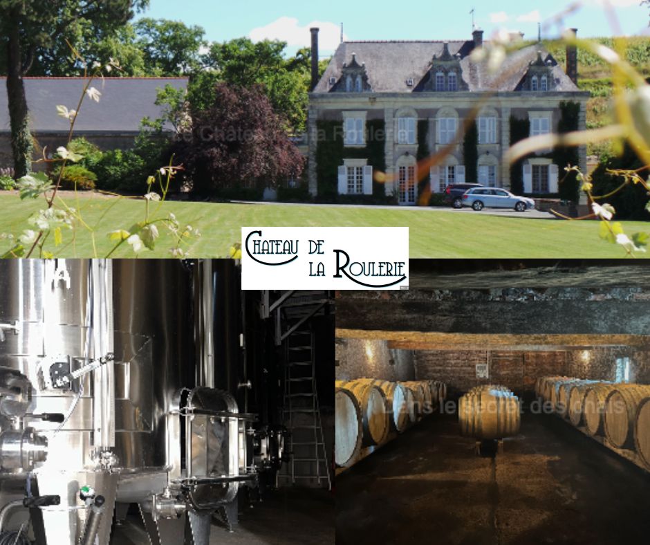 Château de la Roulerie: chai
