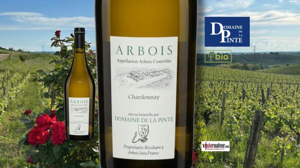 Domaine de la Pinte, Chardonnay, France, Jura, Arbois, vin blanc bio, 2022 bouteille