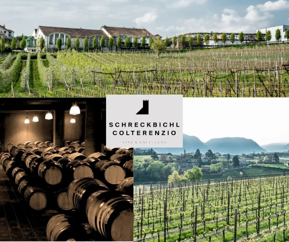 Kellerei Schreckbichl Colterenzio: chai et vignobles