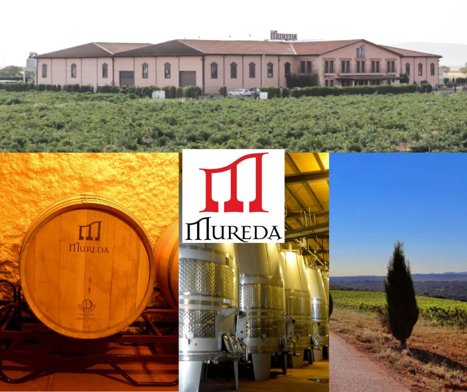 Mureda Wines: chai et vignobles