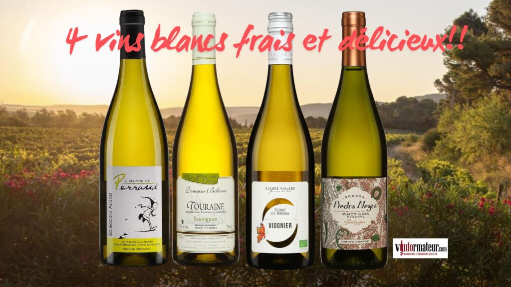 4 vins blancs frais et délicieux!