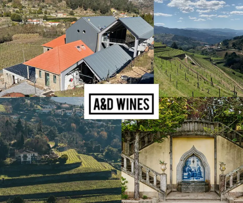A&D Wines: chai et vignobles