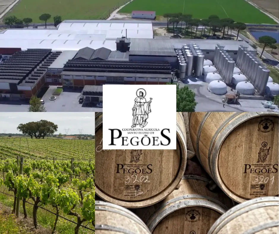 Adega de Pegoes: chai et vignobles