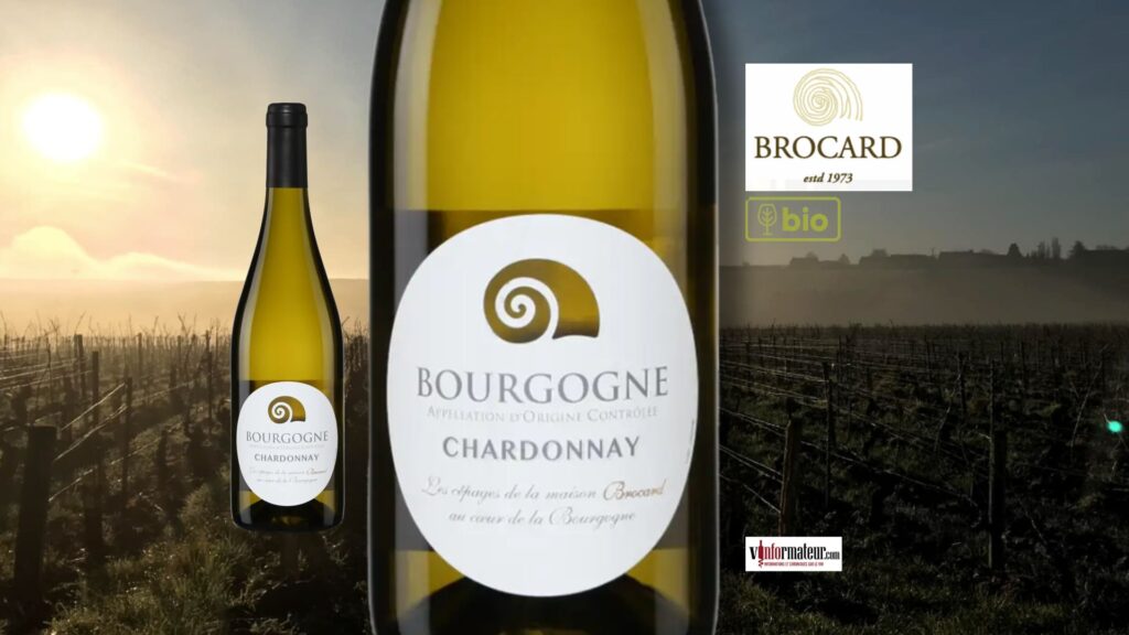 Jean-Marc Brocard – Un Chardonnay de Bourgogne 2023 tout en pureté et précision
