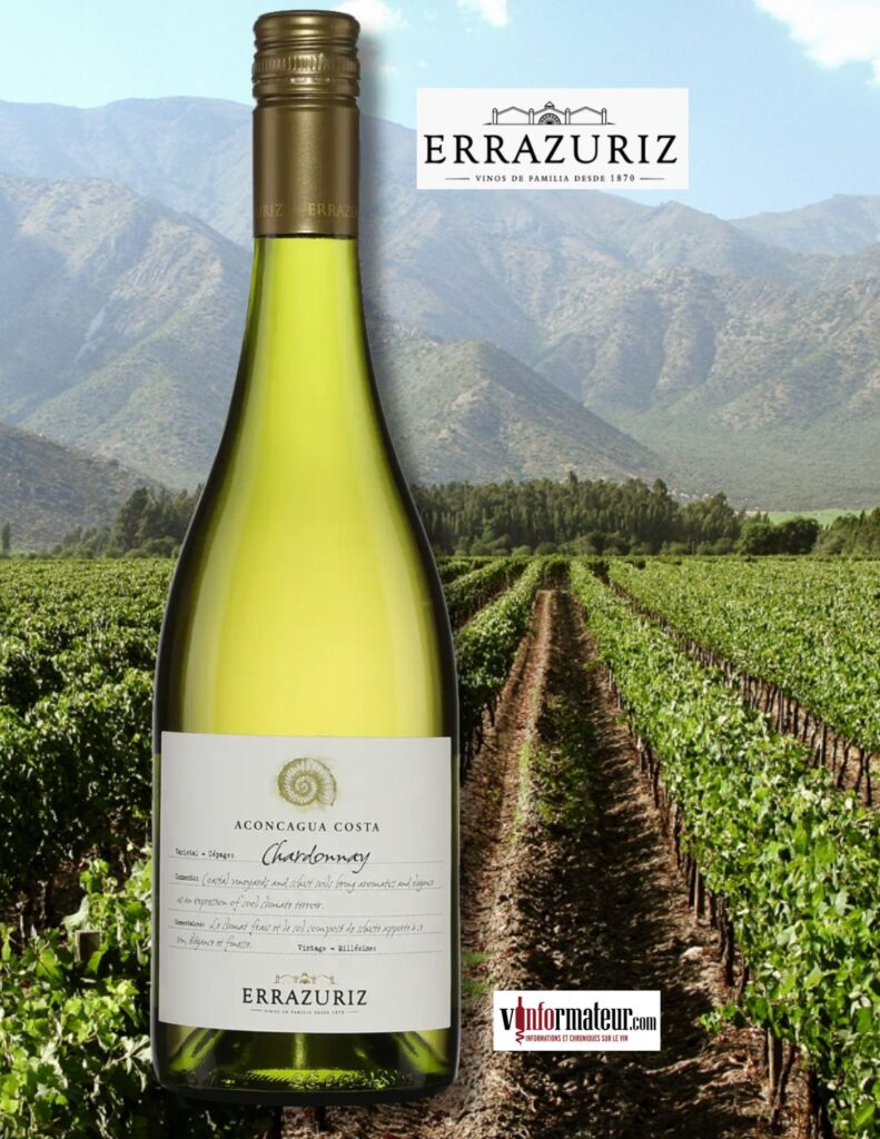 Errazuriz, Chardonnay, Aconcagua Costa, Chili, vin blanc, 2023 bouteille