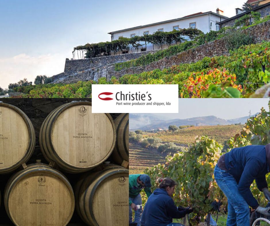Christie's Wines: chai et vignobles