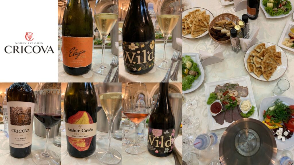 Dégustation des vins de Cricova