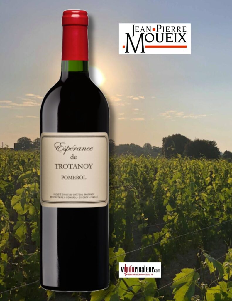 Espérance de Trotanoy, Pomerol, vin rouge, 2022 bouteille