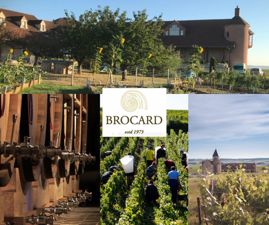 Jean-Marc Brocard: chai et vignobles