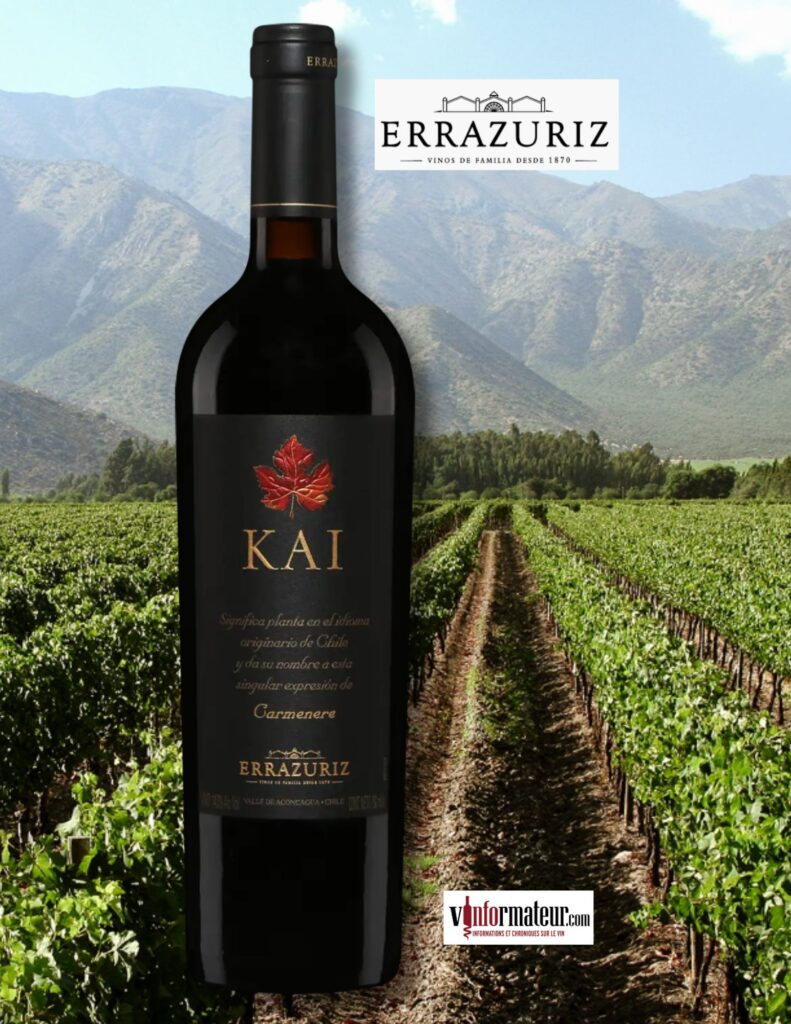 Kai, Errazuriz, Carmenère, Chili, Valle del Aconcagua, vin rouge, 2021 bouteille