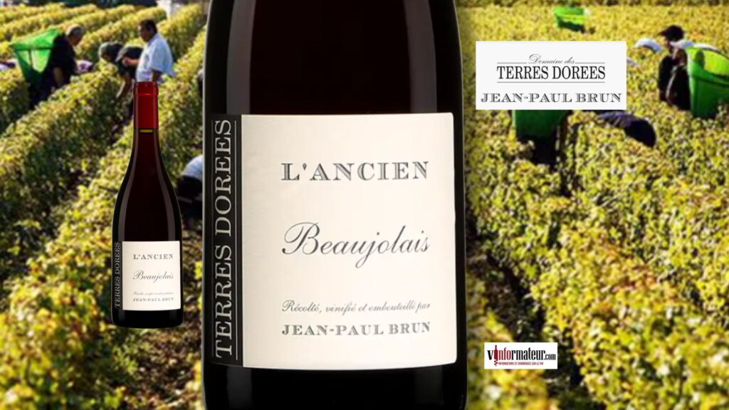 Jean-Paul Brun L’Ancien 2023 – Un Beaujolais authentique et racé des Terres Dorées