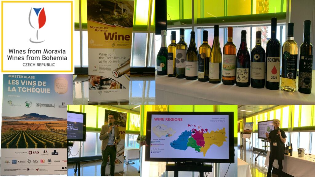 Masterclass sur les vins de la Tchéquie à l'ITHQ.