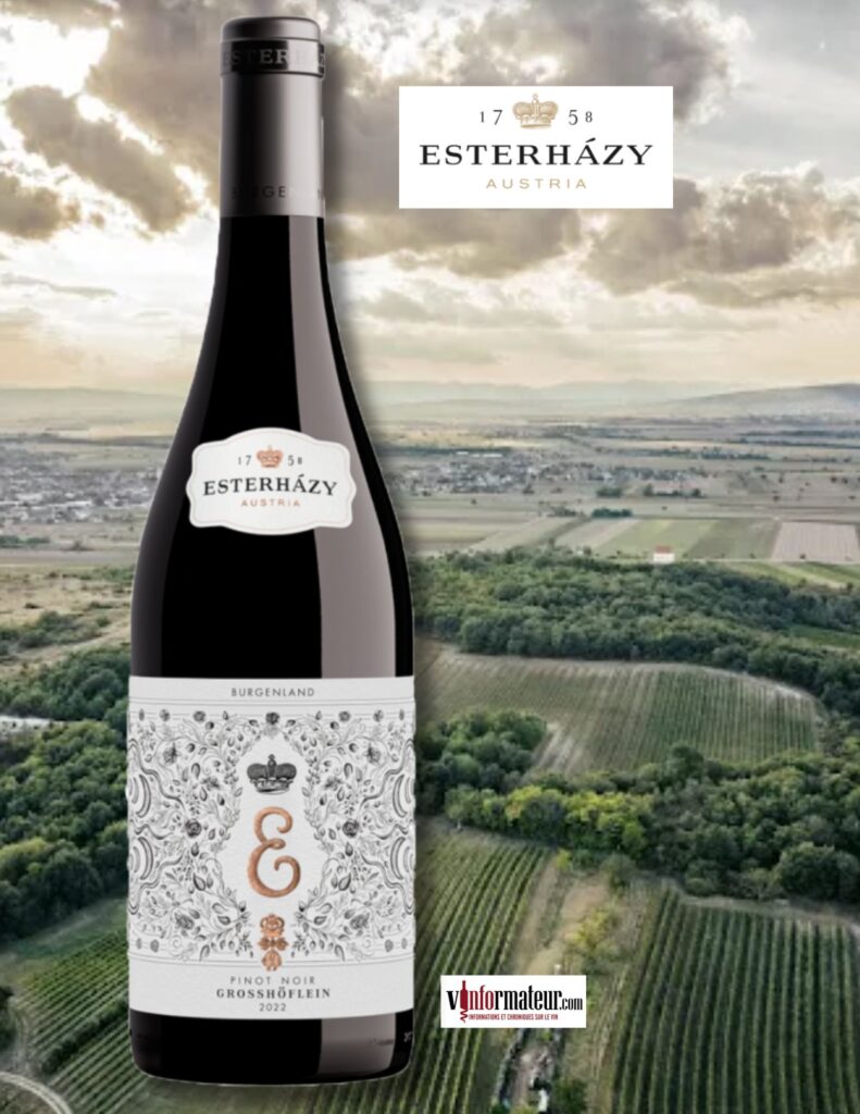 Esterhazy, Pinot Noir, Autriche, Grosshoflein, vin rouge, 2022 bouteille