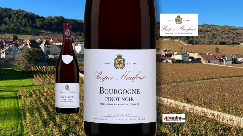 Prosper Maufoux Bourgogne Pinot Noir 2023 : un rouge élégant et charmeur à la SAQ