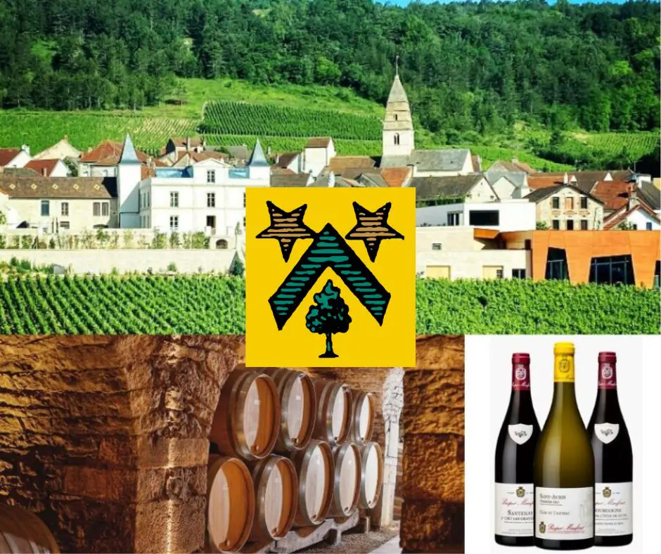 Maison Prosper Maufoux: chai et vignobles