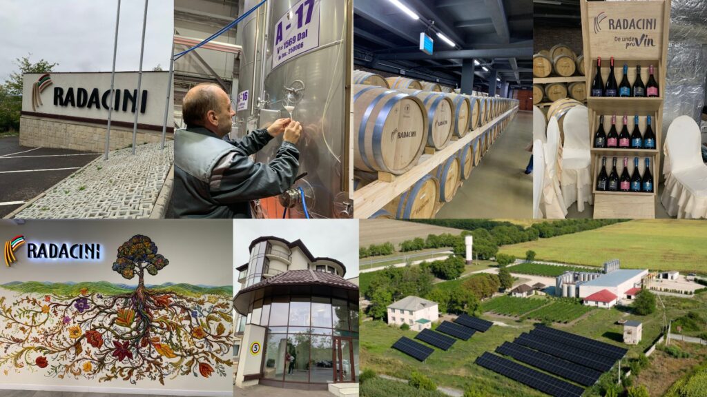 Radacini winery
