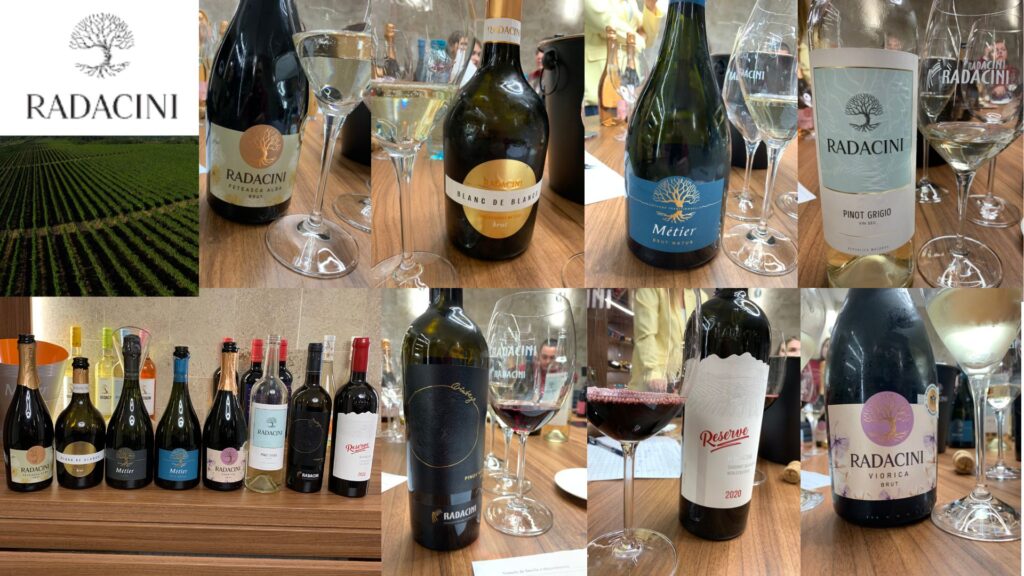 Dégustation vins de Radacini