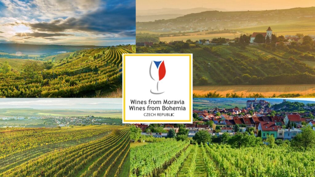 Vignobles de la Tchéquie