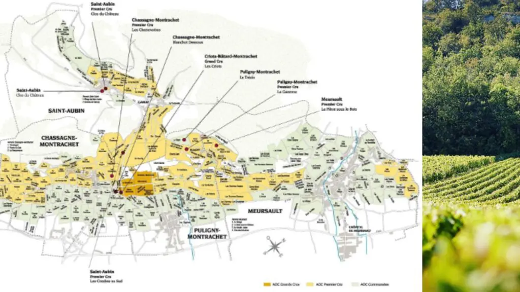 Carte viticole Côte d'Or Bourgogne