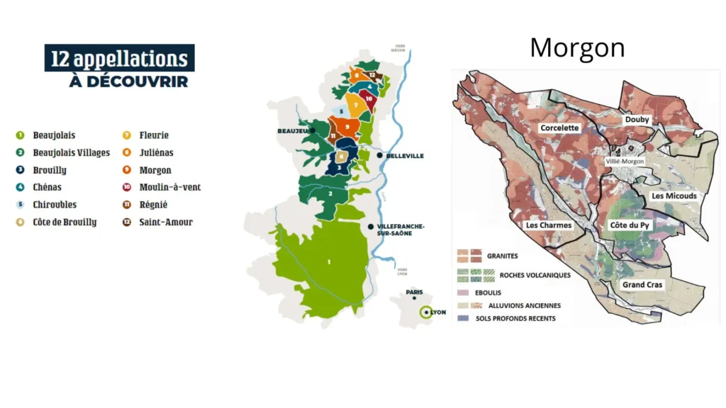 Carte viticole Beaujolais et le cru Morgon