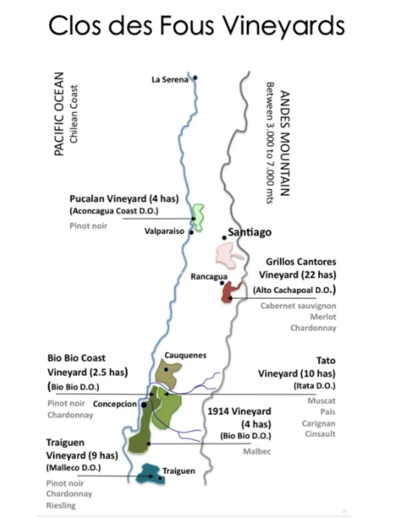 Carte viticole Valle del Itata