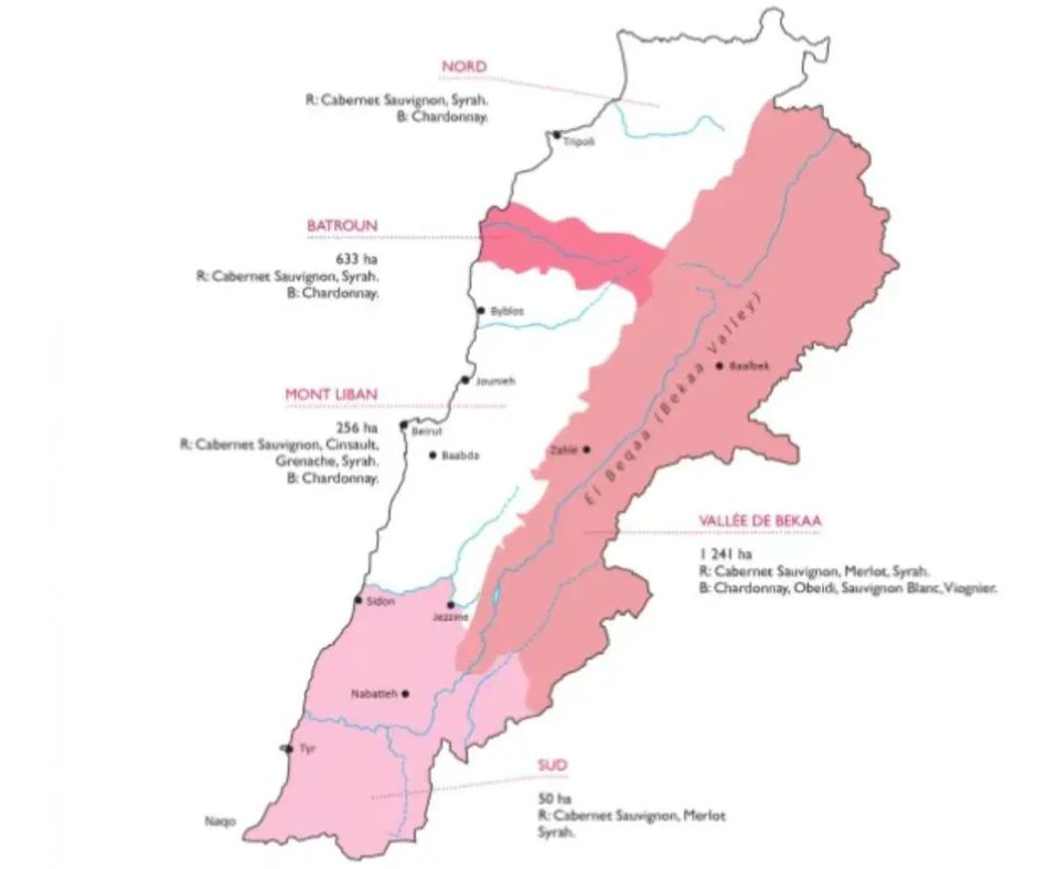 Carte viticole Liban