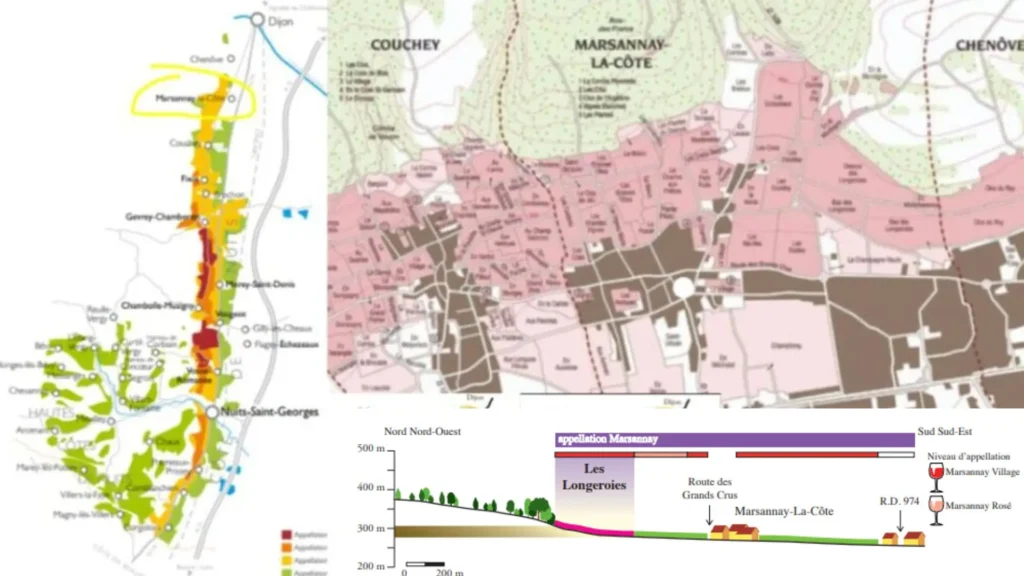 Carte viticole Marsannay