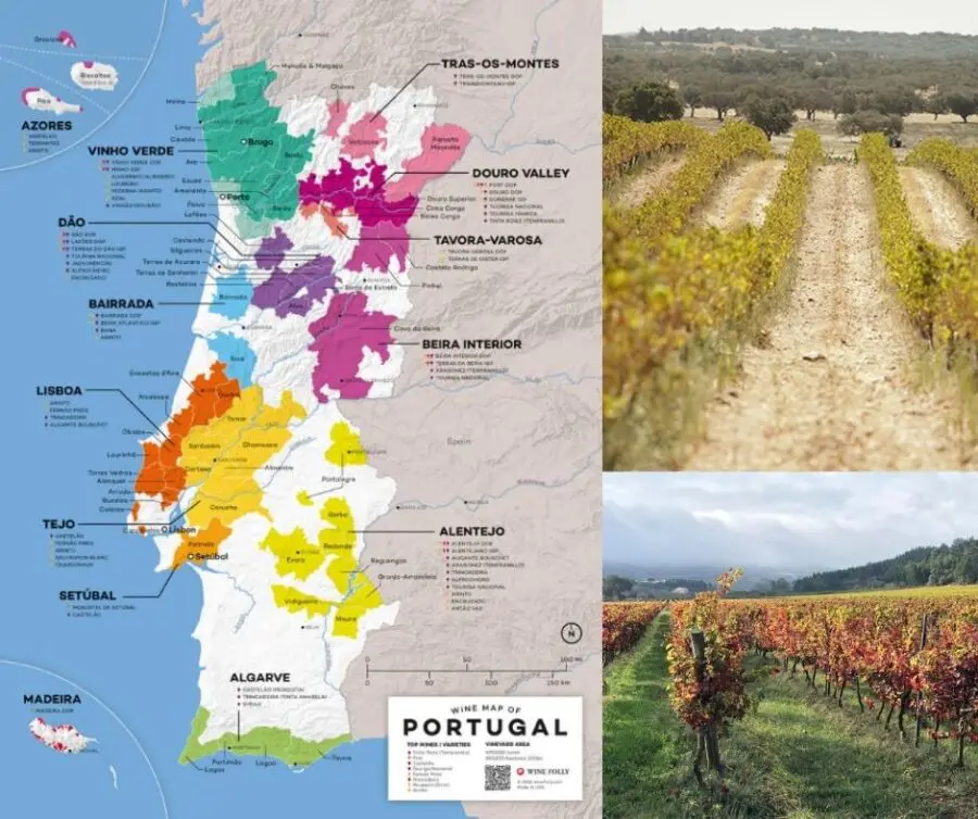 Carte vinicole Portugal