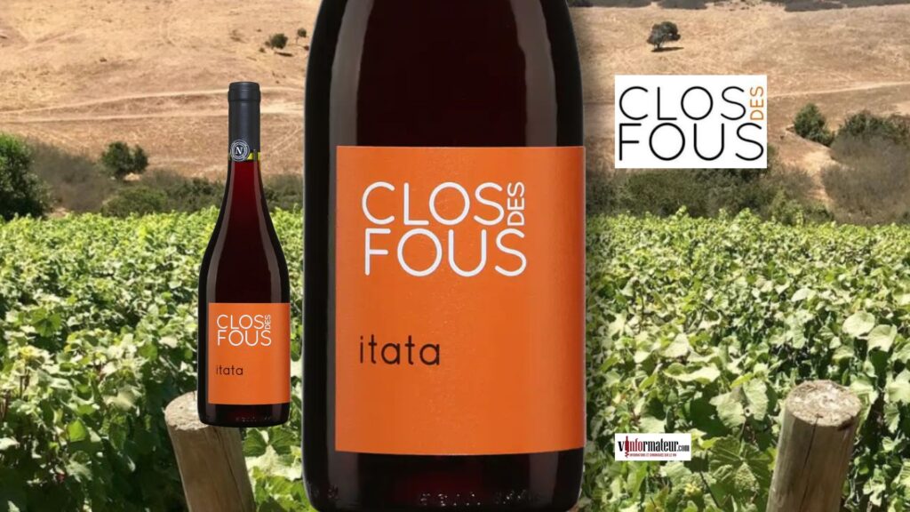 Clos des Fous 2022 – Vin rouge du Chili, Valle del Itata : fraîcheur, équilibre et terroir extrême 🌋🇨🇱