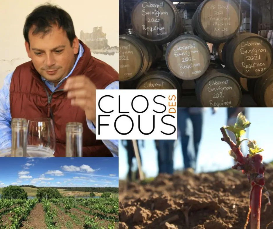 Clos des Fous: Pedro Parra, chai et vignobles