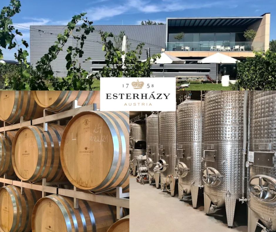 Esterhazy Weingut: chai et vignobles