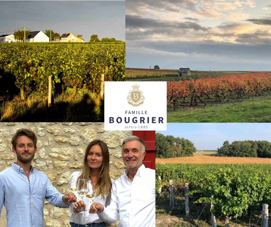 Famille Bougrier: chai et vignobles