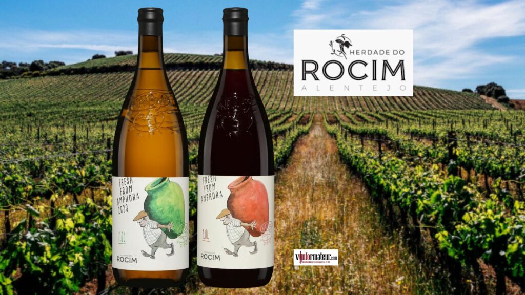 Deux superbes vins Fresh From Amphora de Herdade do Rocim maintenant à la SAQ 🍷🇵🇹