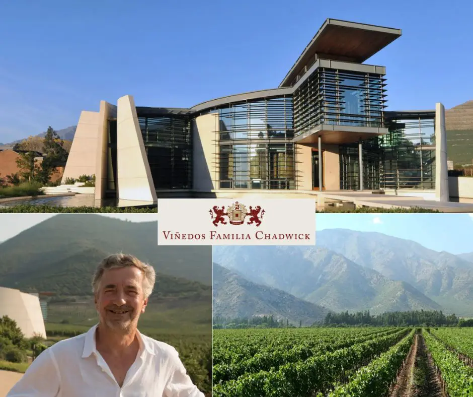 Vina Errazuriz: chai et vignobles