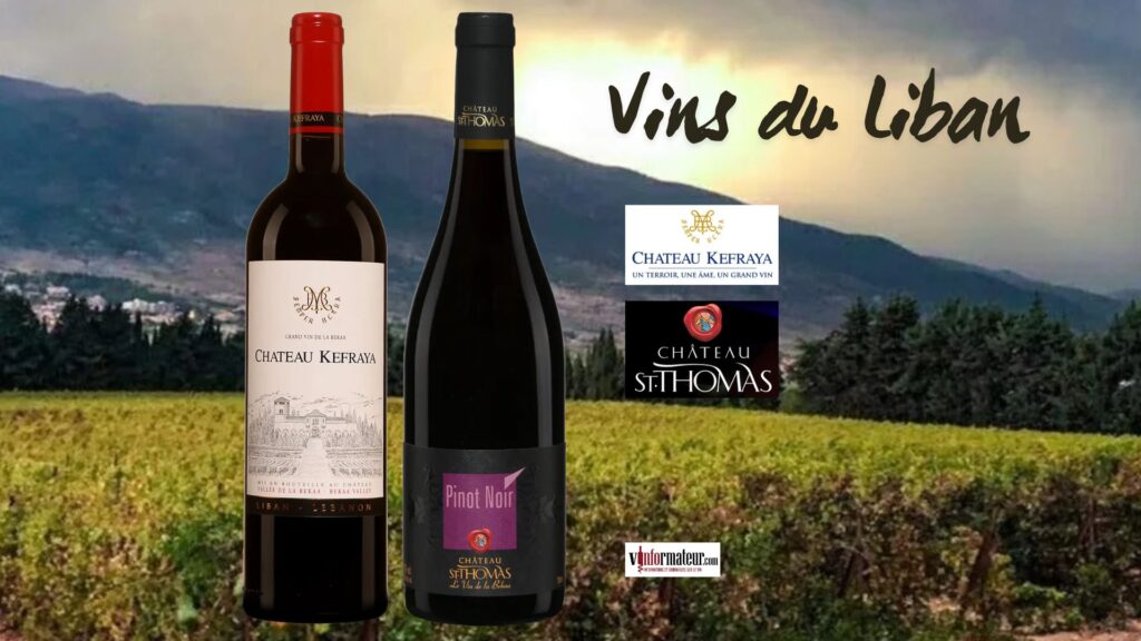 Le Liban, berceau du vin et terre de renouveau : Château Kefraya 2021 et Château St-Thomas Pinot Noir 2020, deux rouges de la Bekaa à découvrir 🍷🇱🇧