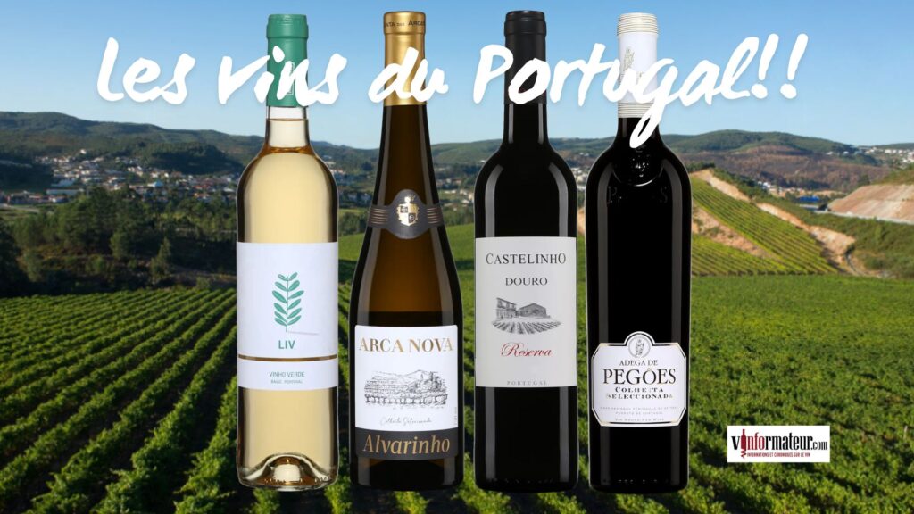 Quatre vins du Portugal à découvrir – Du Vinho Verde au Douro, l’essence du terroir portugais 🇵🇹🍷