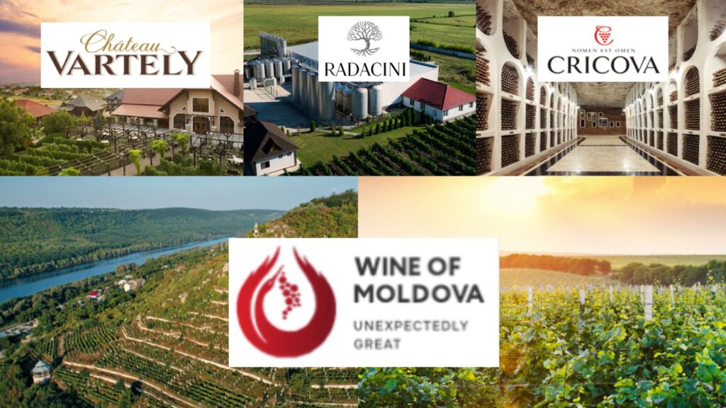 Moldavie : la renaissance d’un grand pays du vin 🇲🇩🍷