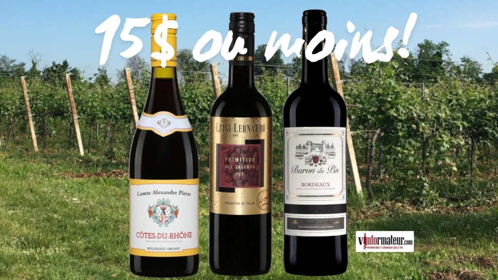 Boire bien pour 15 $ et moins : trois rouges à découvrir
