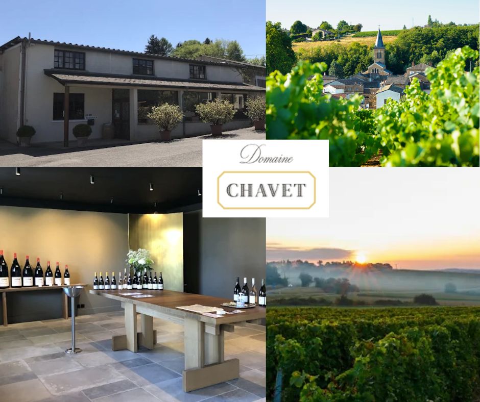 Domaine Chavet: chai et vignobles