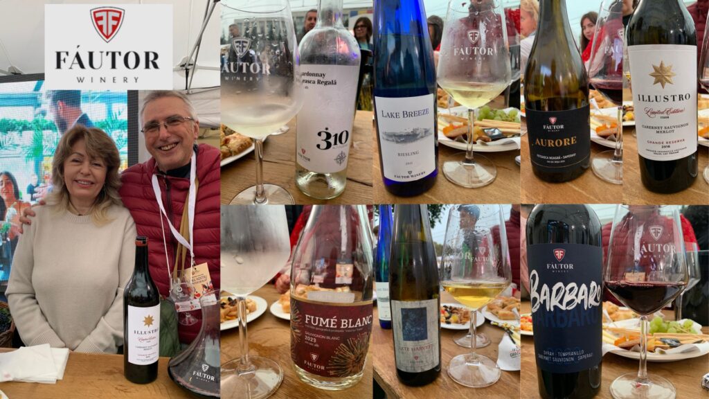 Dégustation des vins de Fautor Winery