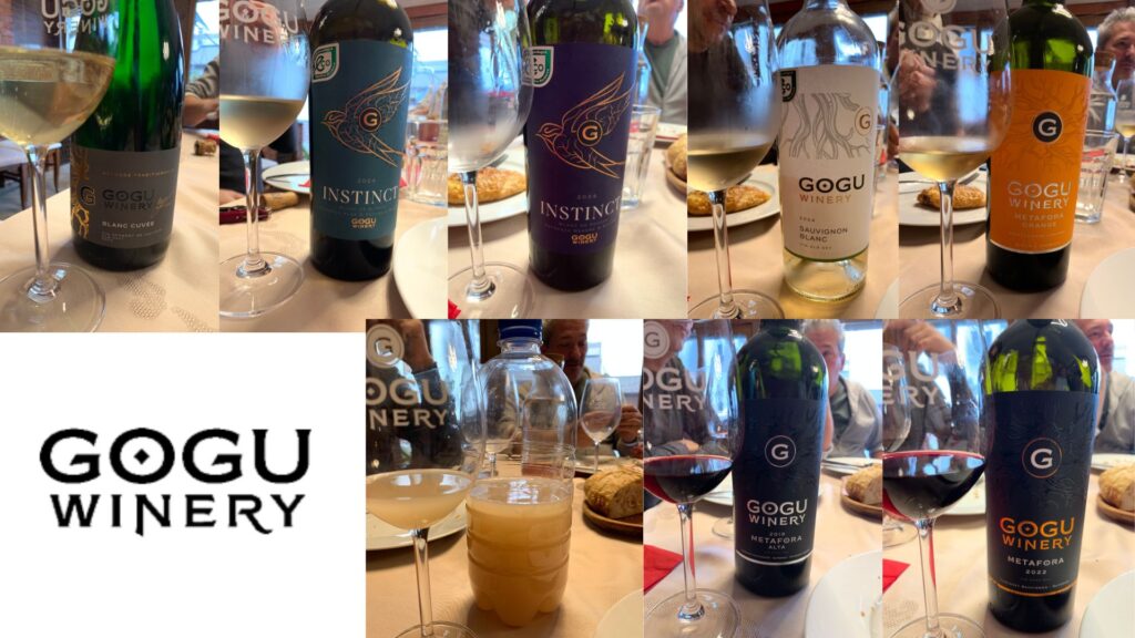 Dégustation des vins de Gogu Winery