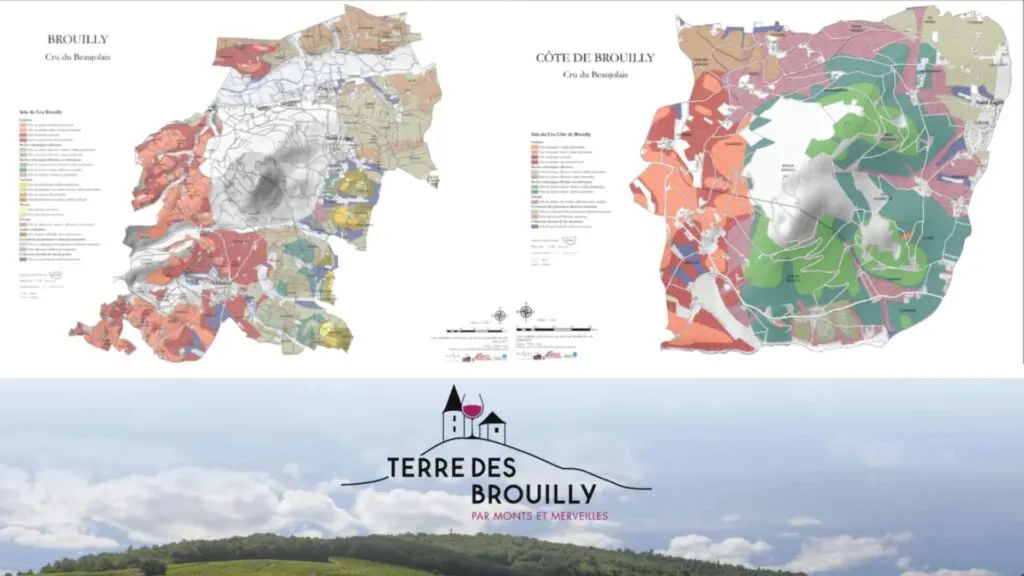 Carte viticole Brouilly et Côte de Brouilly