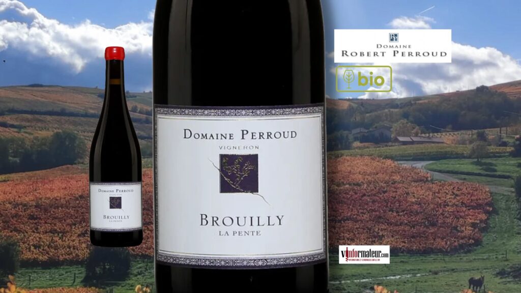 Domaine Robert Perroud, Beaujolais, Brouilly, Cuvée Les Pentes, vin rouge bio, 2023 bouteille