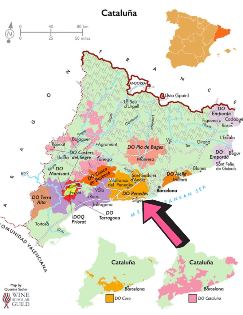 Carte viticole - Catalogne - Penedès